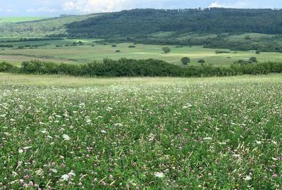 Teren arabil de 630 hectare in Gala?i - 6