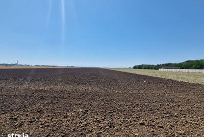 Teren de 1500 mp, în Fundulea - 6