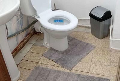 Apartament cu 3 camere decomandat în Românești - 1