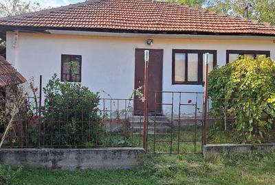 Casă cu Teren 850 Mp în Celnata - 12