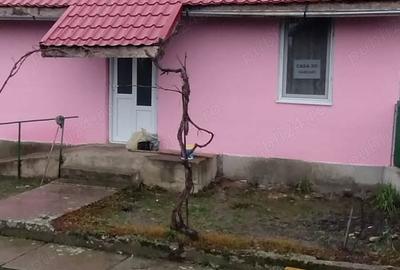 Casă cu 2 camere cu Teren 1439 Mp în Cruceni - 9