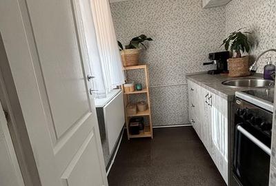 Apartament cu 2 camere semidecomandat în Valea Rosie - 1