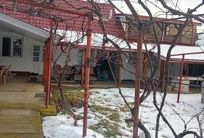 Casă cu 4 camere cu Teren 5000 Mp în Girov - 9