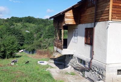 Casă cu 2 camere în Berislăvești - 7