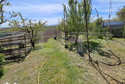 Casă cu 3 camere cu Teren 2900 Mp în Sâncraiu de Mureș - 19