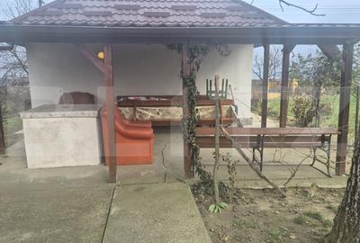 Casa cu 2 camere, 65 mp, teren 2910 mp, in Viile Satu Mare - 19