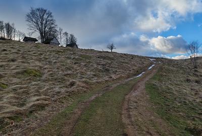 19,5 Ha  TEREN PEISAJ PANORAMIC SPECTACULOS zona turistica montana BULZ -  BIHOR - 54