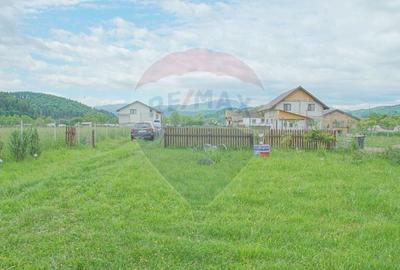 Teren Construcții intravilan de 2551 mp, în Acriș - 9