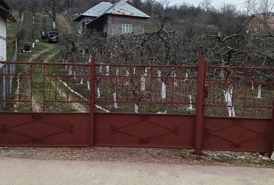 Casă cu 3 camere cu Teren 2800 Mp în Central - 10