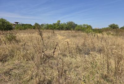 Comuna Branesti, Sat Vadul Anei pe strada Closca, 1650 mp Comuna Branesti, Sat Vadul Anei pe strada Closca, 1650 mp - 3