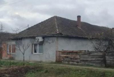 Cota 1/2 din casa -Loc. Sintea Mare, jud. Arad - 1