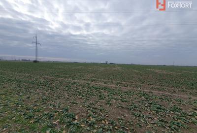 Teren Construcții extravilan de 9845 mp, în Șagului - 4