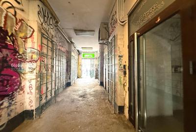 Apartament cu 2 camere semidecomandat, mobilat în Romană - 22