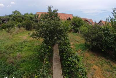 Casă cu 3 camere cu Teren 1350 Mp în Central - 8