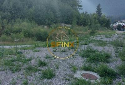 Teren intravilan 15.000 mp Busteni - 5