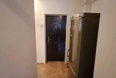Apartament cu 1 camera, PET FRIENDLY, zona Tatarasi - 4