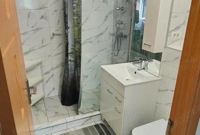 Garsoniera 32 mp Bartolomeu Lanii - 10