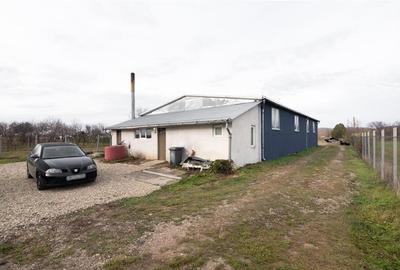 RECO Hala Industriala Tileagd - 4