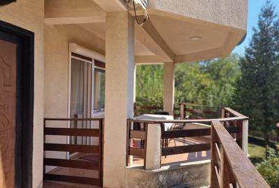 Vila spațioasă 5 dormitoare, Provita de Jos - 6