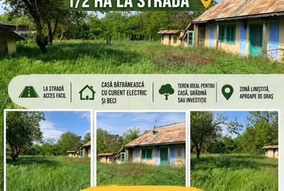 Spațiu comercial, în Trifești - 3