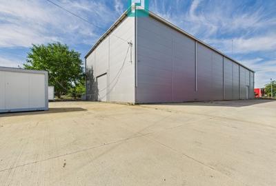 Hală industrială cu pod rulant de 3 tone în Arad - 3