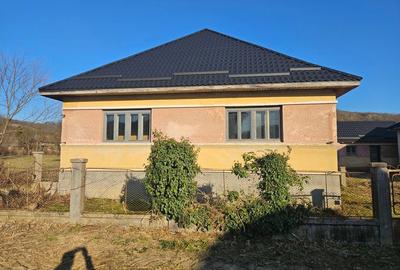 Casă cu 3 camere cu Teren 2300 Mp în Borza - 4