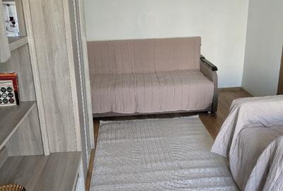 Inchiriez Garsoniera Octavian Goga - 8