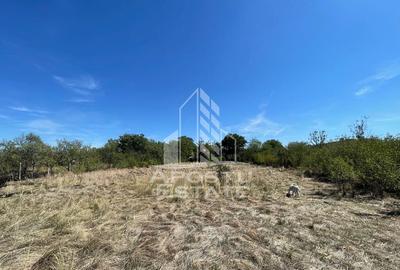 Casă cu 2 camere cu Teren 3407 Mp în Seceani