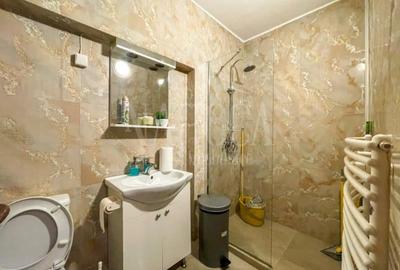 Apartament o camera de vanzare in Centru, Cluj Napoca Apartament o camera de vanzare in Centru, Cluj Napoca - 5