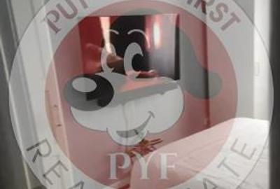 Pantelimon | 3 camere | 67mp | Decomandat | B12440 - 3