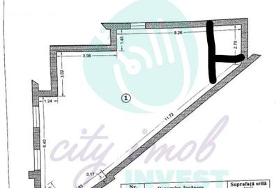 Spatiu special in vila interbelica, Armeneasca - 2