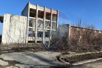 Spațiu industrial, de 5,000 mp, în Niculițel - 7