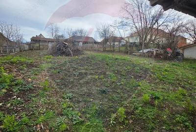 Casa de vanzare in Cetatea de Balta - 17