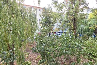 Intr-adevar unic. Apartament cu 3 camere, peste 90 mp, Cernauti - 24