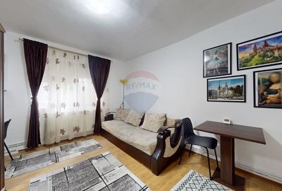 COMISION 0%De închiriat! Garsoniera zona Triaj, etaj intermediar - 7