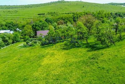 Teren intravilan Codor. Comision 0! - 9