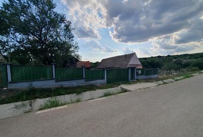 Casă cu 2 camere în Armeni - 2