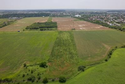 BALOTESTI - SAFTICA, TEREN INTRAVILAN 500 MP, DESCHIDERE 21 - 8