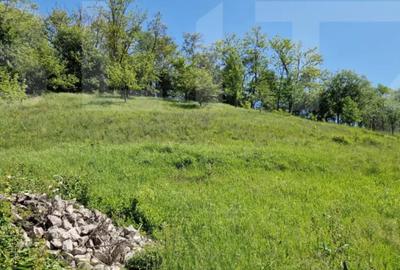 Casă cu 4 camere cu Teren 3166 Mp în Bejan - 7