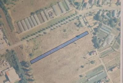 Teren de 1753 mp, în Ișalnița - 1