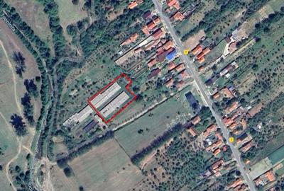 Teren 3.400 mp + 2 hale – Spațiu ideal pentru afacerea ta - 2