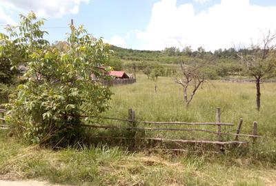 Teren de 10400 mp, în Central - 3