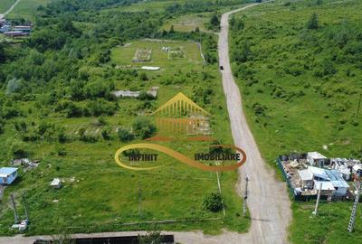 Teren pentru constructie hala indrustriala - Moinesti/Bacau - 2