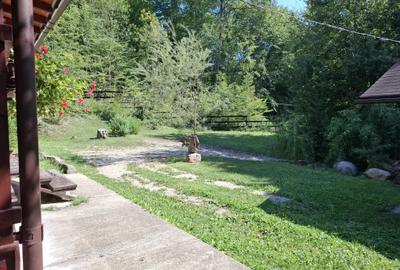 Casă cu 6 camere cu Teren 2267 Mp în Iedera de Sus - 23