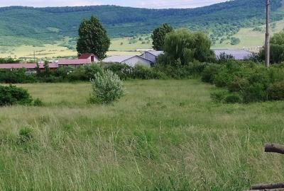 Spațiu comercial, în Unirea - 3