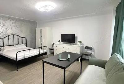 Garsoniera tei-facultatea de constructii - 2