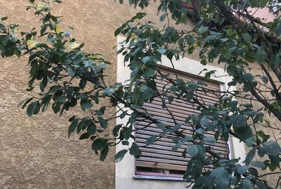 Proprietar, Vand Casa pe Deal in Oradea, zona centrala ! - 4