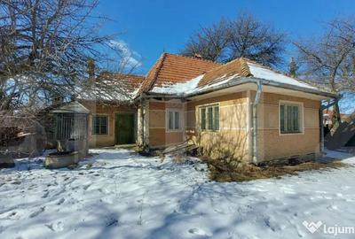 Casă cu 3 camere cu Teren 7600 Mp în Central - 1