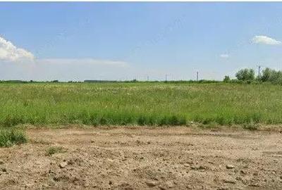 Teren Costestii din Vale, ID: R2582235 - 4