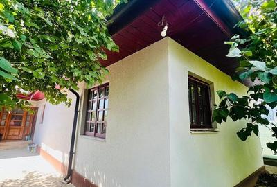 Casă cu Teren 400 Mp în Bălăceanca - 1